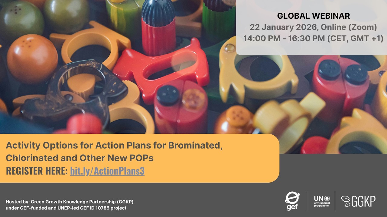 Plans d’action pour les POP bromés, chlorés et autres nouveaux POP.