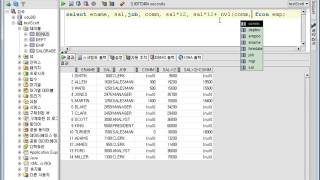 6강 oracle 11g SQL operator(오라클 SQL 연산자)