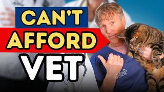When You Can't Afford the Vet: A Vet's Honest Advice