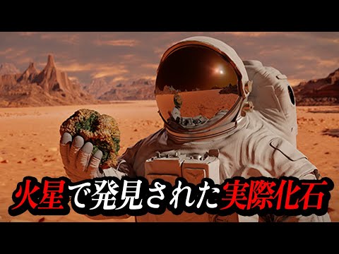 火星の写真が大騒ぎ:「知的生命体の100パーセントの証拠」