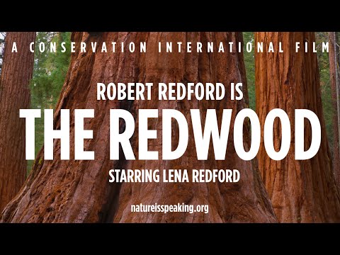 Nature Is Speaking: Robert Redford is The Redwood - 大自然在說話: 羅拔烈福聲演「紅木」| 保護國際基金會 (CI)