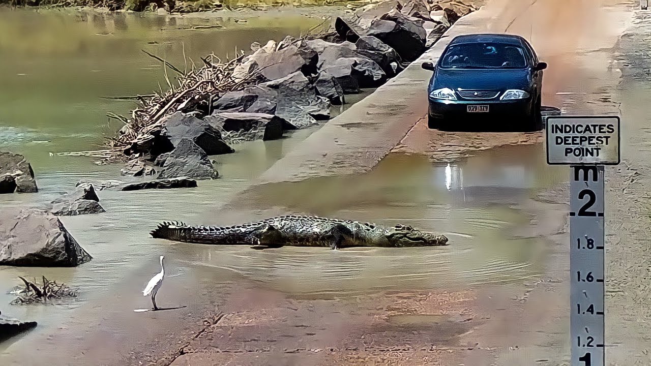 ESSAS ESTRADAS CAUSAM MEDO EM QUALQUER UM!