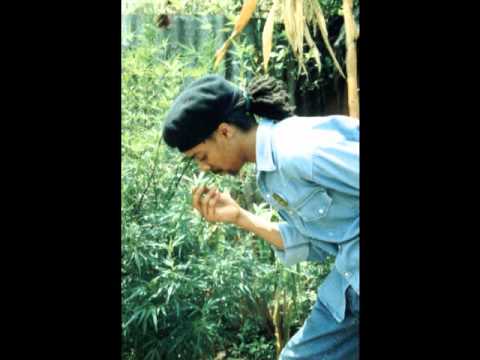 King Saint - Dem Late