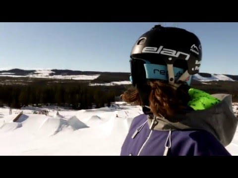 Samuel Ålander - Spring 2015