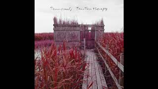 Tenniscoats - Tan-Tan Therapy (2007) [full album]