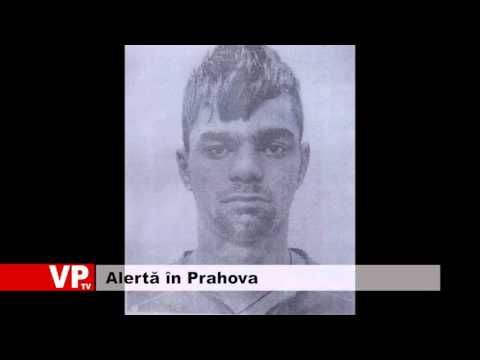 Alertă în Prahova
