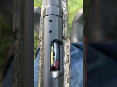 22 LR #targetshooting #shoot #hunting