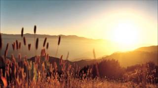 Sort Sol - Holler High HQ