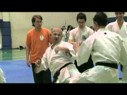 Berenkai System - Dojo Nami Rapallo