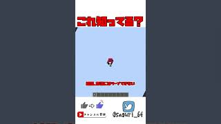【マイクラ検証】奈落だとコーラスフルーツでワープできるの？？？豆知識！【Minecraft】【ゆっくり実況】