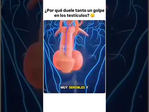 ¿Por qué duele TANTO un golpe en LOS TESTÍCULOS?