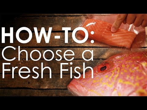 download lagu mp3 mp4 How To Tell If A Fish Is Fresh, download lagu How To Tell If A Fish Is Fresh gratis, unduh video klip How To Tell If A Fish Is Fresh