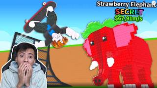 FUN!! Looking for Good Brainrot Using a Skateboard thumbnail