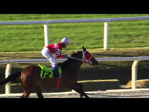 12/09/2020 – Hipodromo Maroñas – Carr 9 – ELECTRÓNICA (2018)