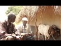 CKW Film 5 Min