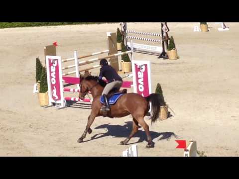 Contesa BV Z 1.10 5/5/16 VDH