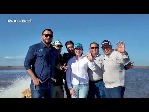 ADAPT SHOCK en accion