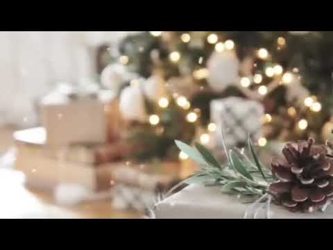 🌲Colinde 2025 cu Stefan Hrusca 🌲Colinde Traditionale de Craciun si Anul Nou