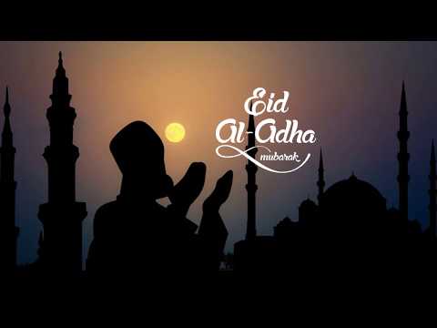 Adeeba birds farm & pets