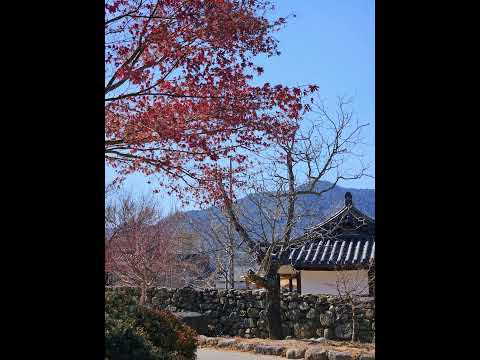 [SNS 직원서포터즈] 육지의 제주도 한밤마을