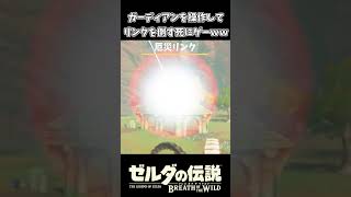 【ブレワイ】ガーディアンビームで厄災を倒す死にゲー【ゼルダの伝説 ブレス オブ ザ ワイルド】