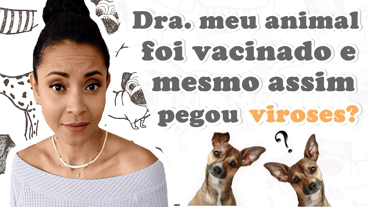 DRA. MEU ANIMAL FOI VACINADO E MESMO ASSIM PEGOU VIROSES.