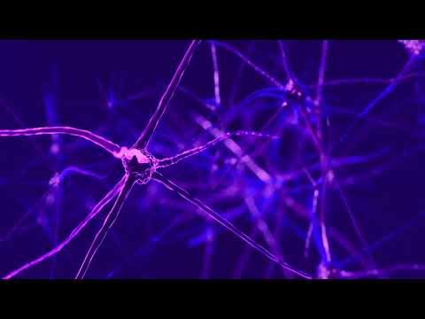 AudioStorm - The Trajectory of the Mind