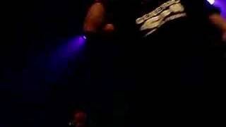 green lizard fret alive afscheid roela (turn around)