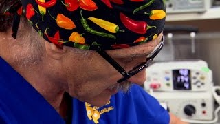 What on Earth Did the Cat Eat?