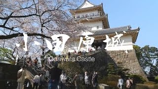 preview picture of video '小田原城  / Odawara Castle'