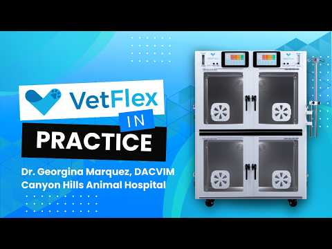 VetFlex ICU Veterinary Testimonial