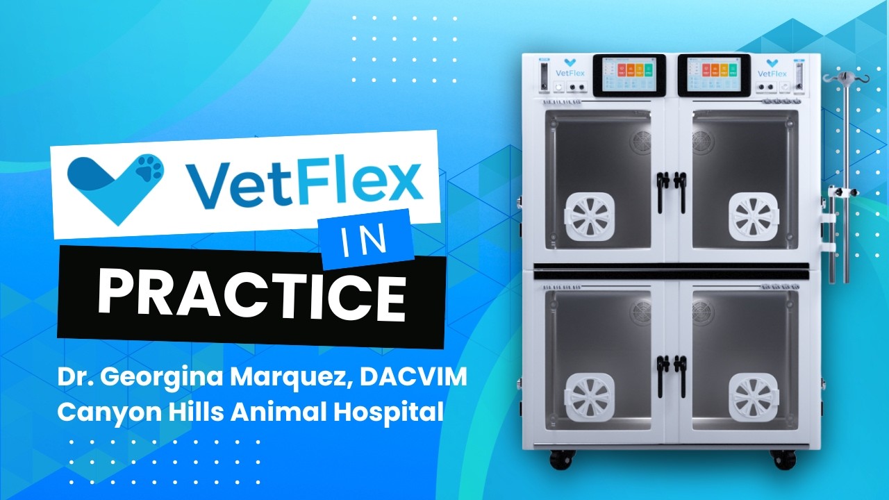 VetFlex ICU Veterinary Testimonial