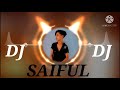 O SAKI SAKI DJ SAIFUL SONG