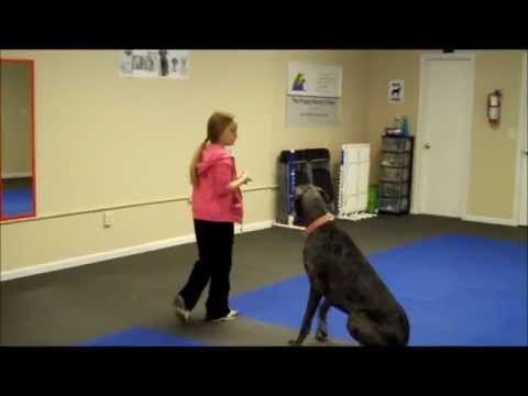 Teaching Go Crazy, Freeze