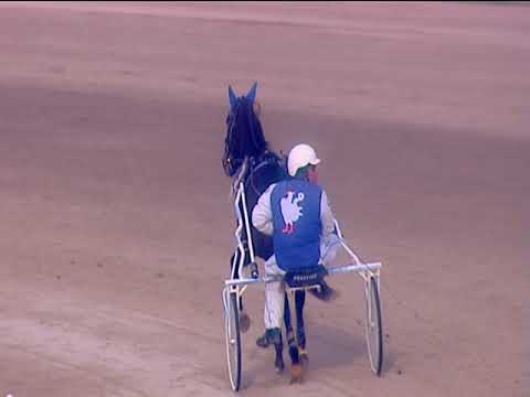 Trotto 25/01/2019 - 1ª corsa