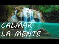 Relajación: Música para Relajarse y Calmar la Mente - Música de la Naturaleza