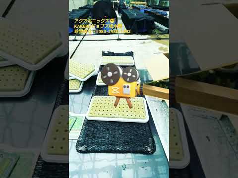 無土栽培水耕栽培システム