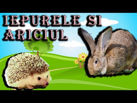 Iepurele si Ariciul - 📀365 Povesti 👑 Jobenul cu Povesti