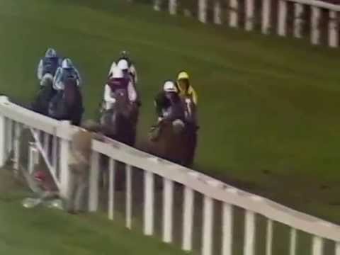 1986 Queen Elizabeth II Stakes Ascot Full Race