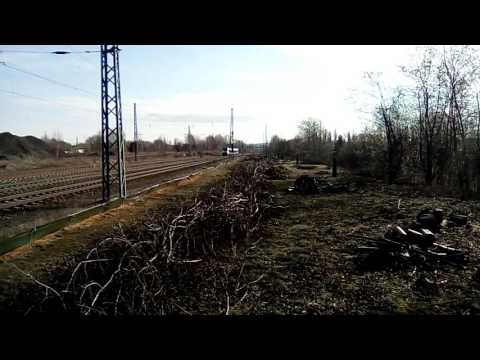 Die Hamsterbacke (BR 442) als S5X von Zwickau nach Leipzig