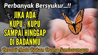 Download lagu PERBANYAK BERSYUKUR !! Jika Ada KUPU KUPU Sampai HINGGAP DI BADANMU, Anda BUKAN ORANG SEMBARANGAN mp3 Download lagu PERBANYAK BERSYUKUR !! Jika Ada KUPU KUPU Sampai HINGGAP DI BADANMU, Anda BUKAN ORANG SEMBARANGAN mp3