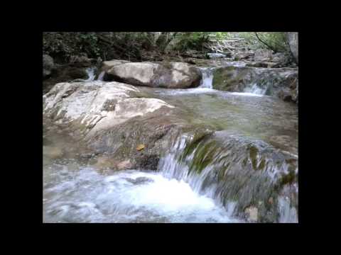 Ronski Speed feat. Lucy Saunders "Rise Again" (Omnia Remix) [ASOT 623]