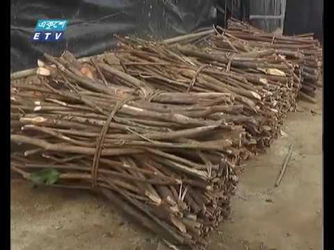 প্রতিদিন প্রায় ৫লাখ কেজি লাকড়ি পোড়াচ্ছে রোহিঙ্গারা