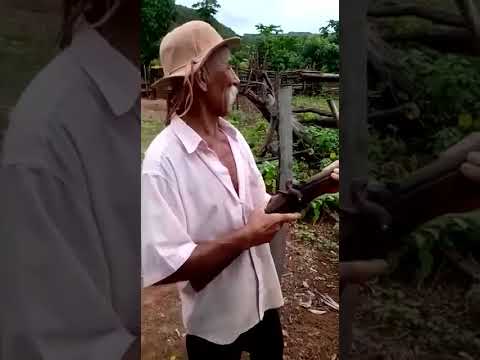 nunca testa uma espingarda antiga kkkk