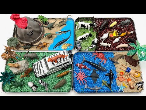 Animals Diorama In 4 Tray | Small World Ocean Safari Farm Dinosaur World