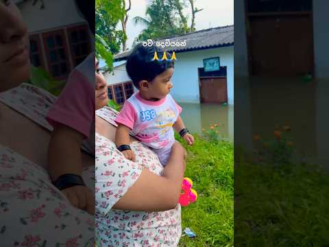 පව් දෙවියනේ 🙏🙏🙏(අසරන උන අයට තිබුනට වැඩියේ හරියන්න ඕනි 🥹) #ganwathura #youtubeshorts #shorts #fyp
