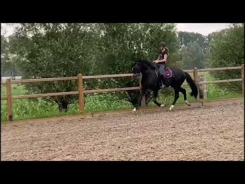 For Ferrero v. For Romance