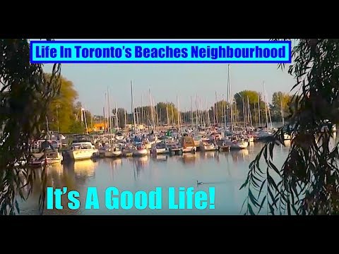 🌴 Life  In The Beaches Neighbourhood 🌴 Toronto