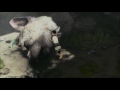 Gameplay video of The Last Guardian  Playstation