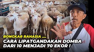 Download lagu Caraku Beternak Domba Dari 10 Jadi 70 Ekor Dalam 2 Tahun | @AGROTV9 mp3